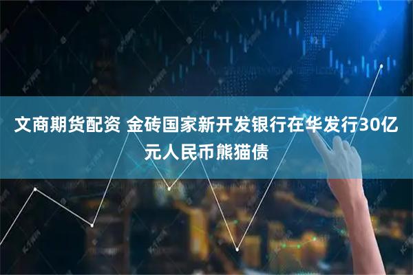 文商期货配资 金砖国家新开发银行在华发行30亿元人民币熊猫债