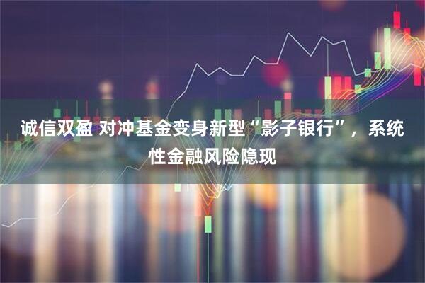 诚信双盈 对冲基金变身新型“影子银行”，系统性金融风险隐现