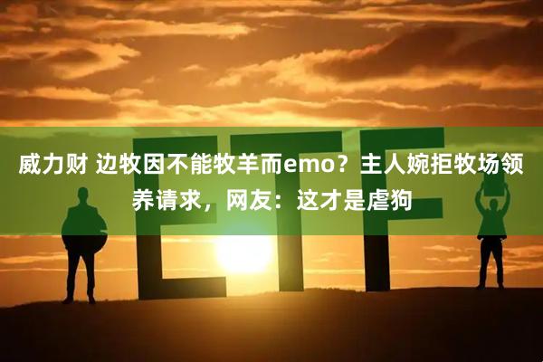 威力财 边牧因不能牧羊而emo？主人婉拒牧场领养请求，网友：这才是虐狗