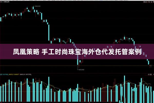 凤凰策略 手工时尚珠宝海外仓代发托管案例
